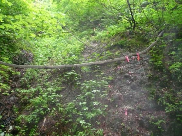 最後の難関。ロープと鉄杭があります
